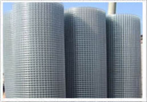 Welded Wire Mesh 